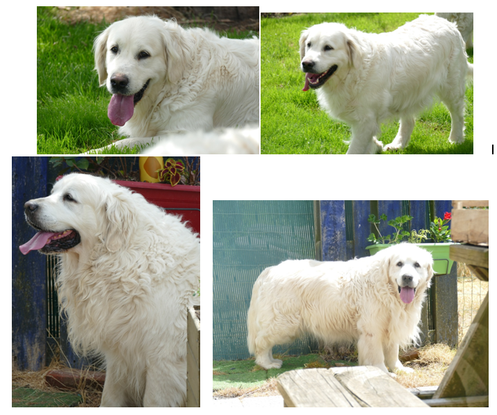 Mariage de Reine Danae et Sunshine Reggae