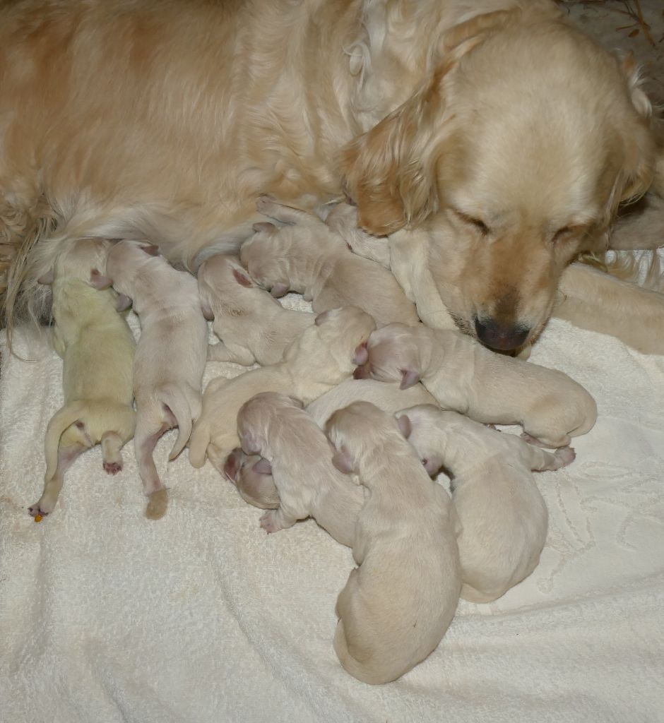 Les bébés de Tess sont arrivés aussi un Dimanche ...