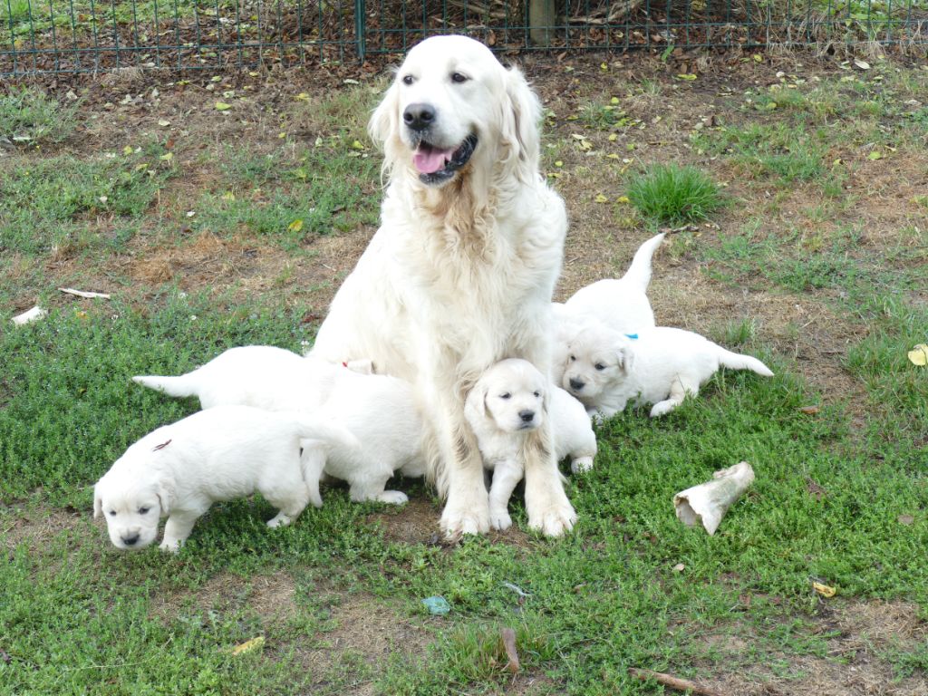 les bébés de Dana